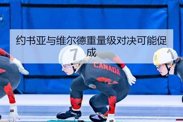 约书亚与维尔德重量级对决可能促成