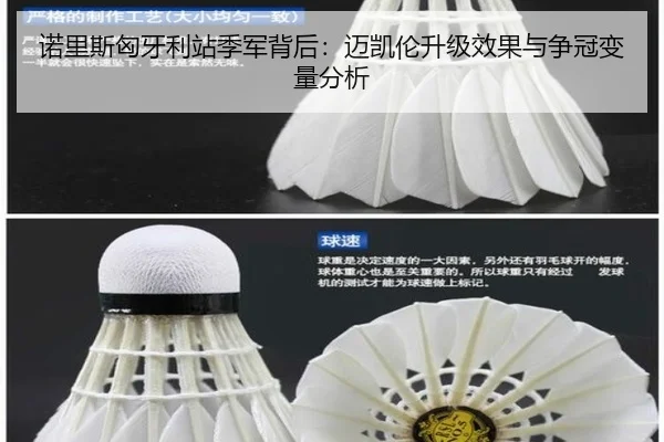 诺里斯匈牙利站季军背后：迈凯伦升级效果与争冠变量分析